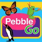 Pebble Go 
